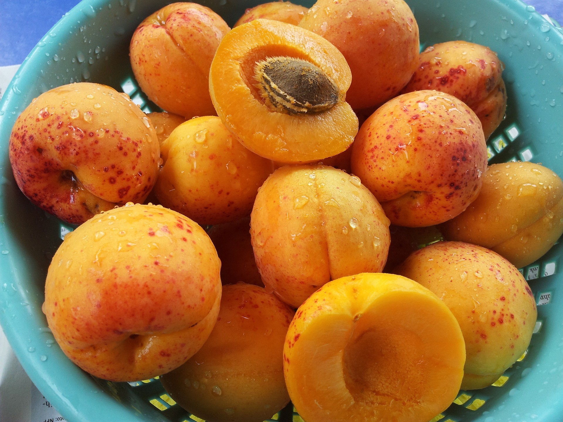 Albicocche fresche