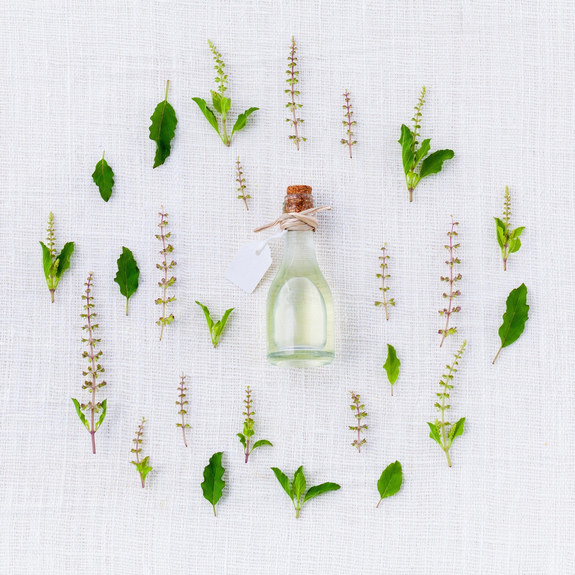erbe aromatiche