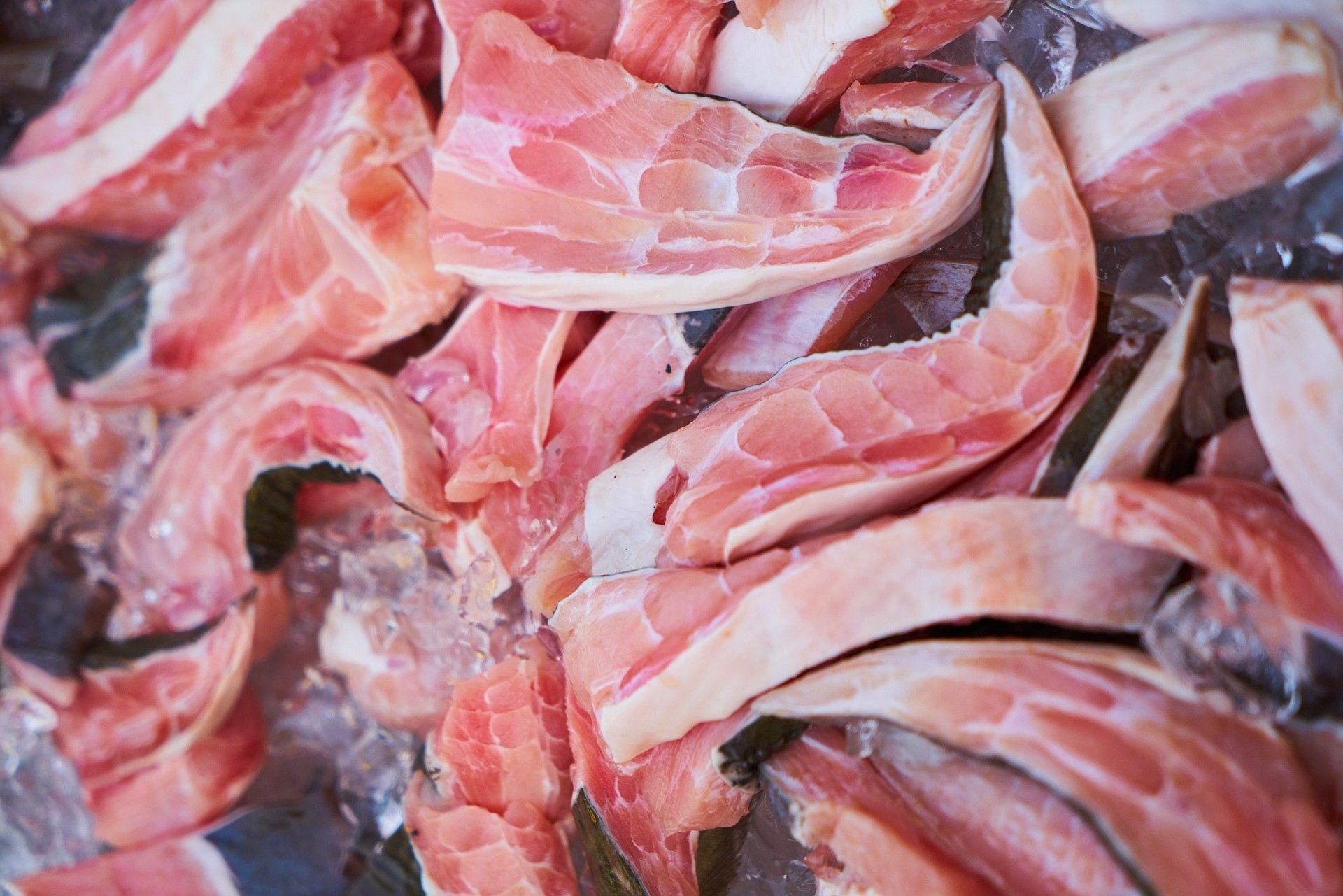 Pesce con Omega-3