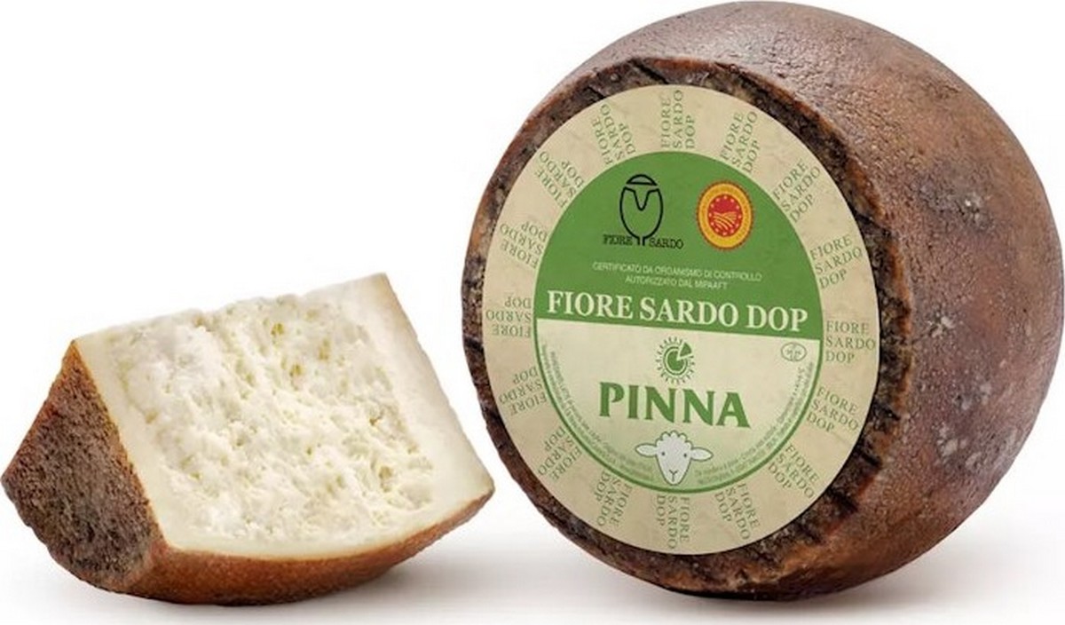 Sardinian Pinna flower