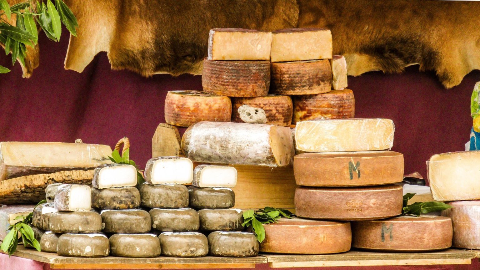 Variety of cheeses- Photo by Vane Monte Pix