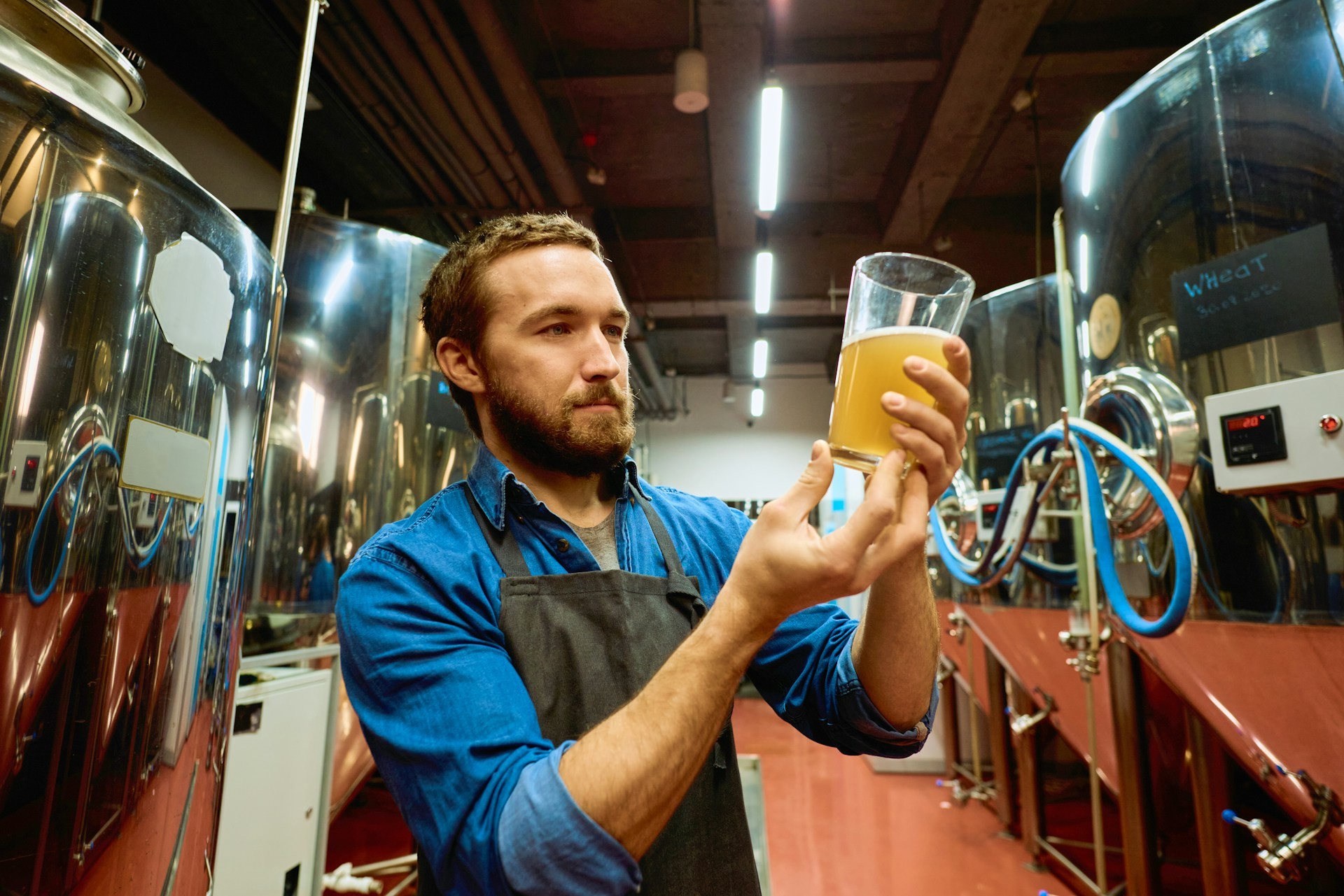 Caratteristiche visive della birra - Foto U+