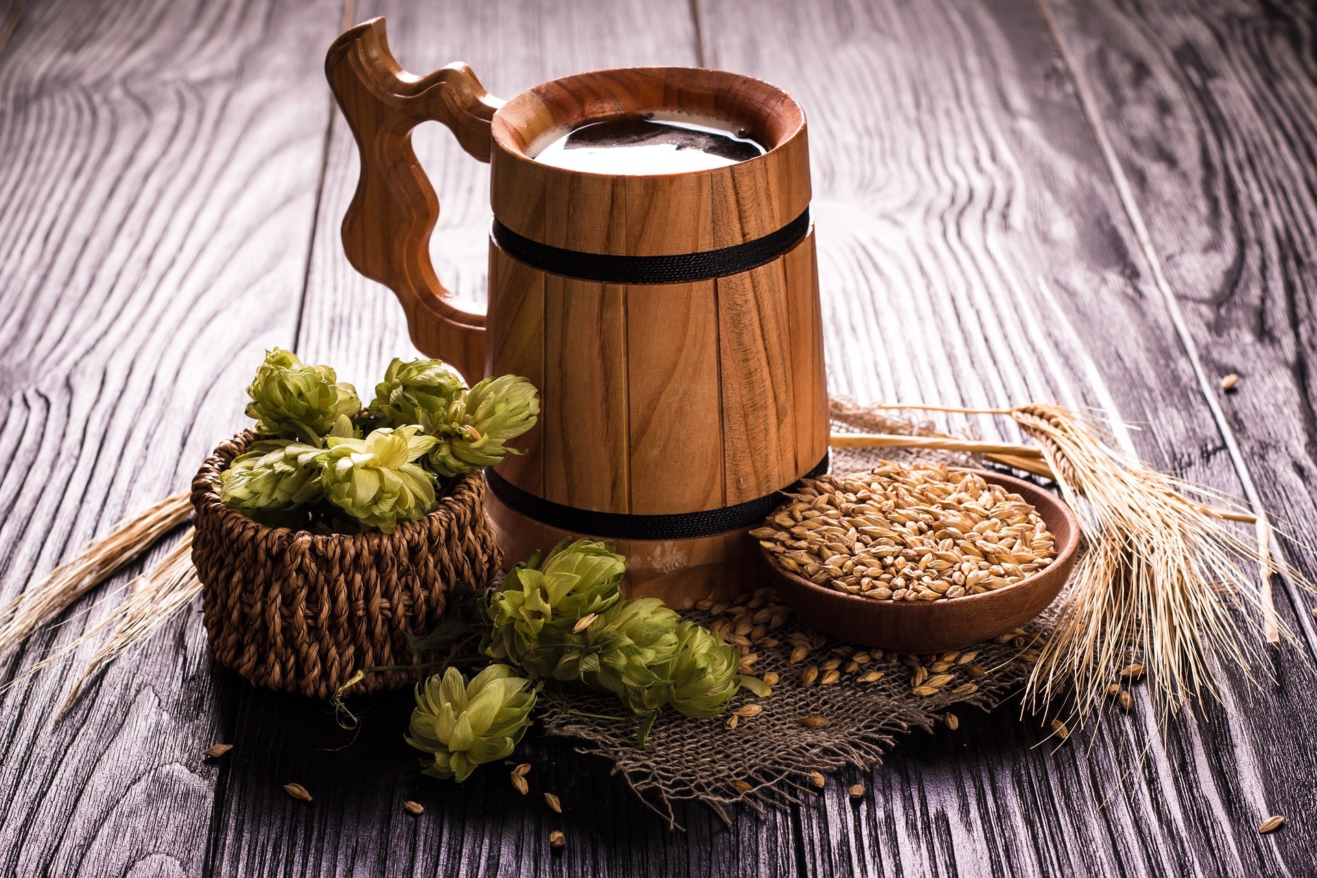 Beer ingredients - Photo by Nurfayozagzamov1004 pix