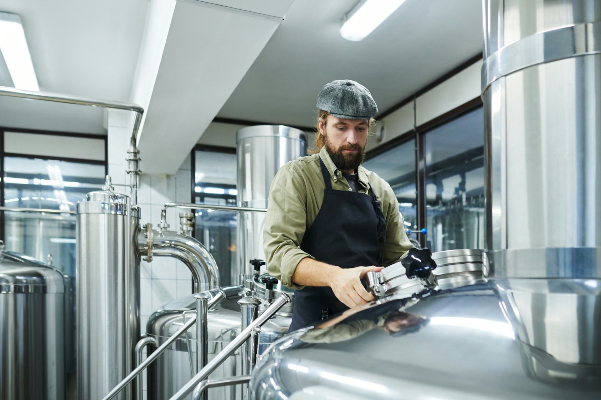Brewer - Photo U+