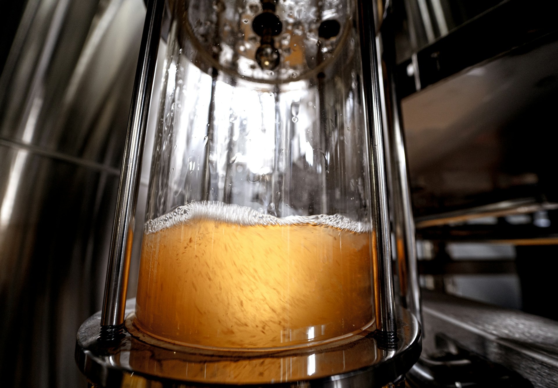 Produzione di birra artigianale - Foto U+