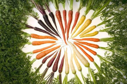 Colorful Carrots - Photo Pix