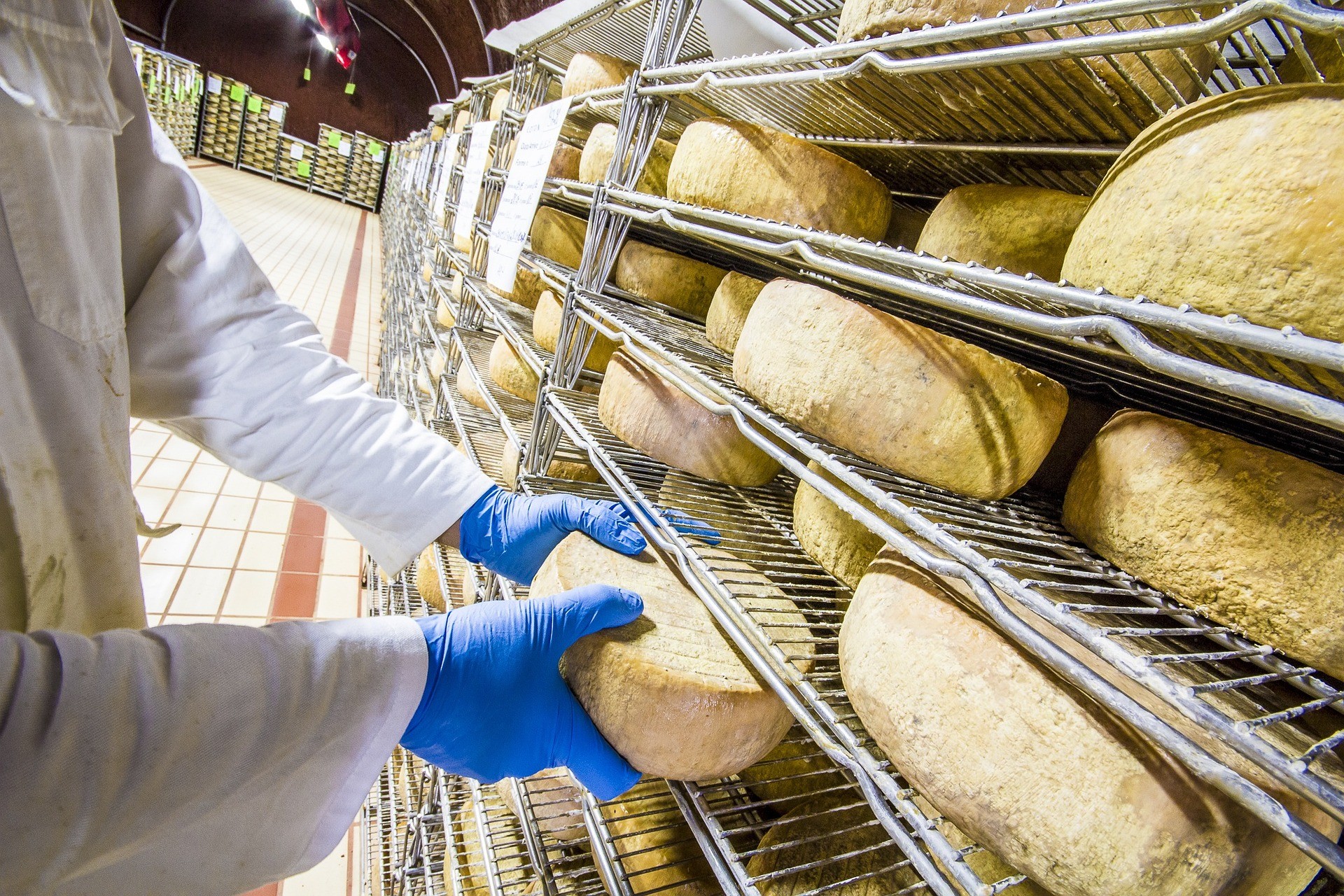 Formaggio italiano - Foto di Massimiliano Olivi Pix