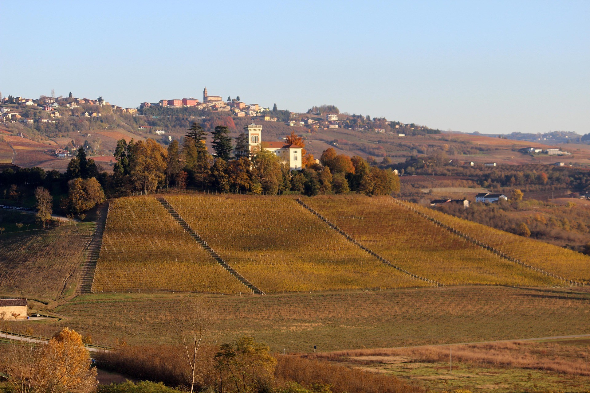 Paesaggio delle Langhe- Foto Massimo CandelaPix