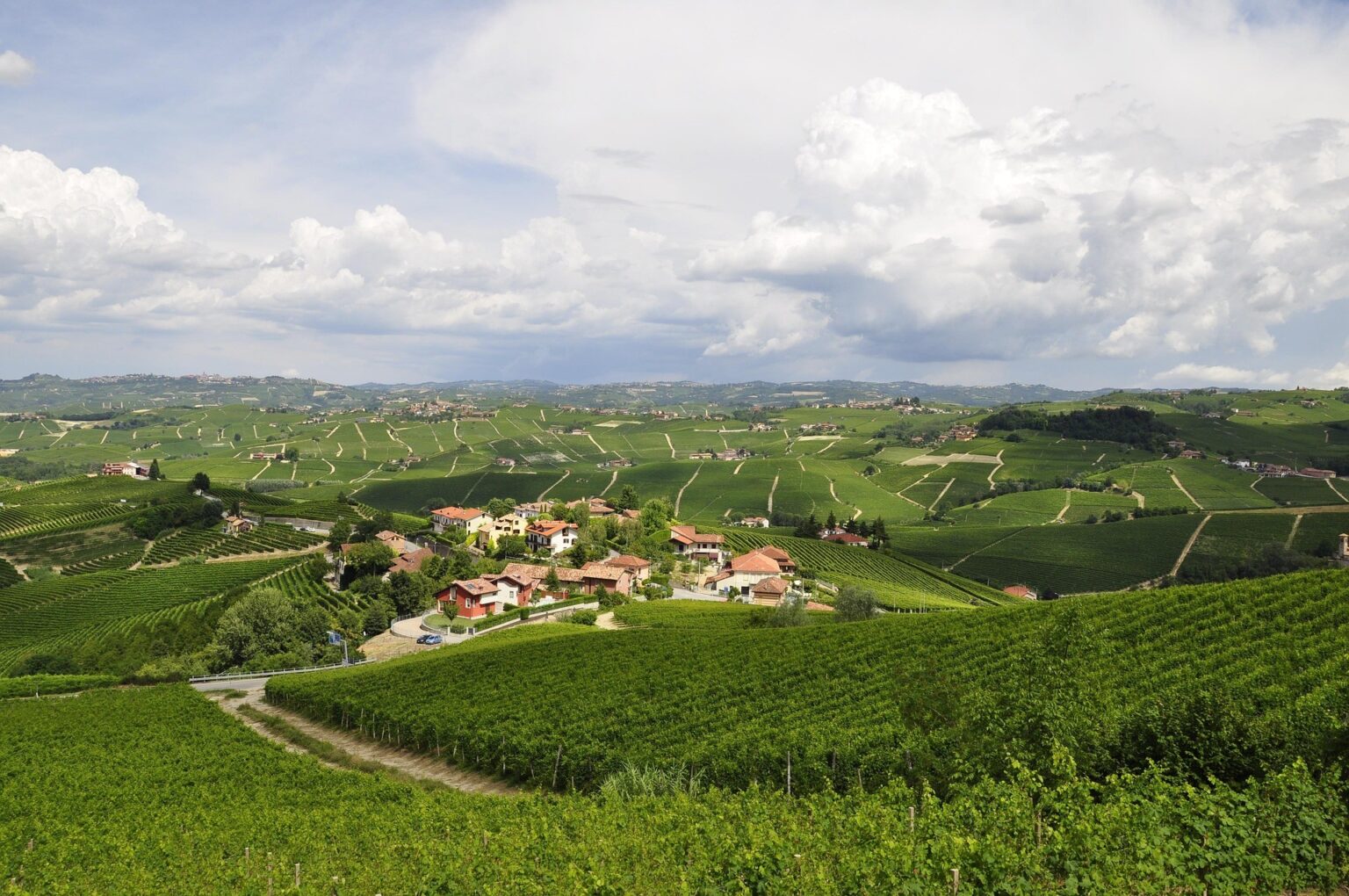 Pesaggio vinicolo delle Langhe- Foto Cadbecon Pix