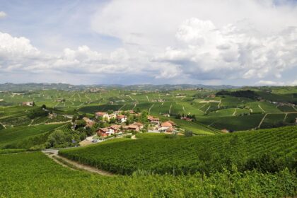 Pesaggio vinicolo delle Langhe- Foto Cadbecon Pix