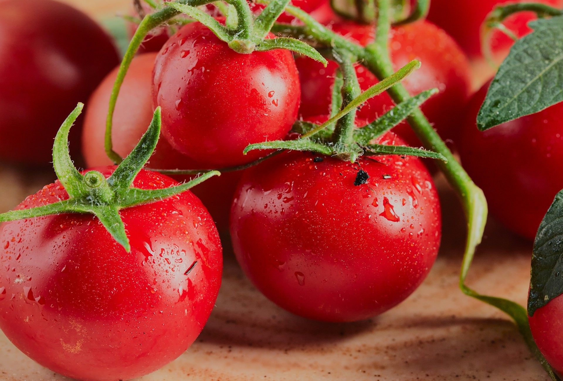 Pomodori rotondi, simbolo della cucina italiana - Foto U+