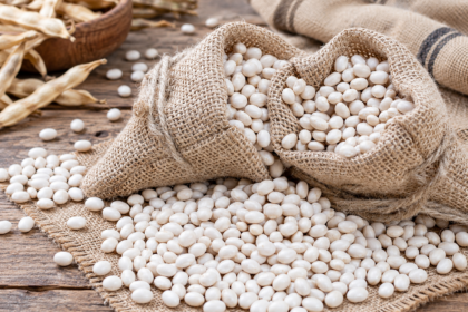 Fagioli Bianchi di Rotonda DOP in sacchetti di juta, con granella bianca sparsa su una superficie intrecciata.